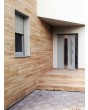 Fargo 30 - contemporary front door