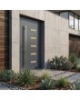 Anthracite aluminum front entrance door
