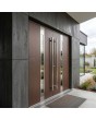 Brown modern aluminum double hinged front door with glass