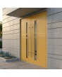 LIM Chip-C double - modern double aluminum entry door with glass