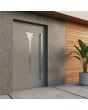 Grey minimalist modern aluminum front door