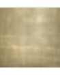 PIVOT M4 - Aluminum pivot entry door coated with liquid metal 