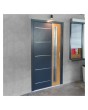 Fargo FI02A - contemporary front door