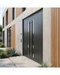 Anthracite aluminum double hinged front door with vertical glass