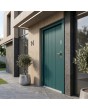 green contemporary entry front door