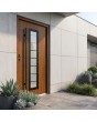 Golden oak steel entry door with glass
