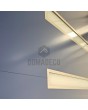 PIVOT 39 - aluminum prehung aluminum pivot door