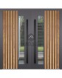 LIM RAIL4 double - aluminum double door with vertical slats and window