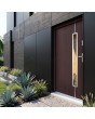 Mahogany steel front door with glass