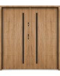 Sta Tales Double - budget-friendly modern steel double door