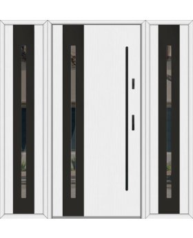 Fargo 26B T - front door with two side panels