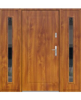 Fargo 27 T - entrance door with side panels