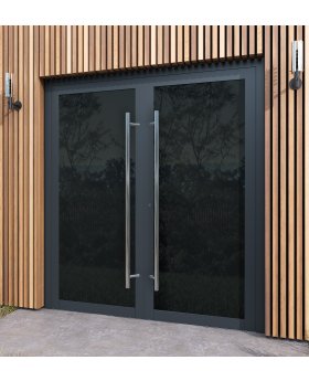 LIM VL19 double - Painted Glass Lacobel double aluminum door