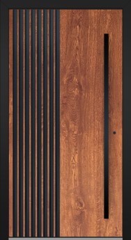 LIM RAIL6
