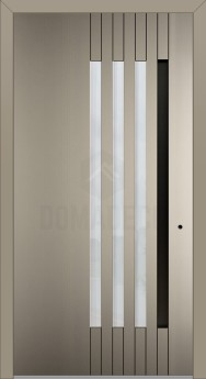 LIM V21