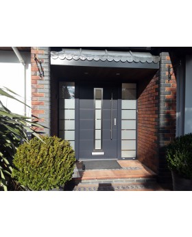 Fargo door with left and right sidelights - aluminum entry door