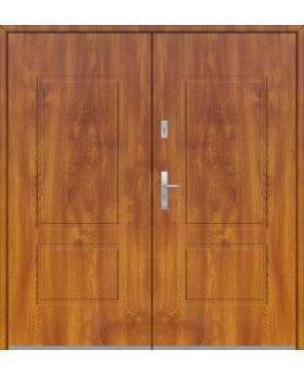Fargo 14 double - double solid front door