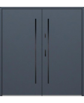 Fargo 1 double - double entrance steel doors / french doors