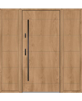 Fargo 26C T - front door with two side panels