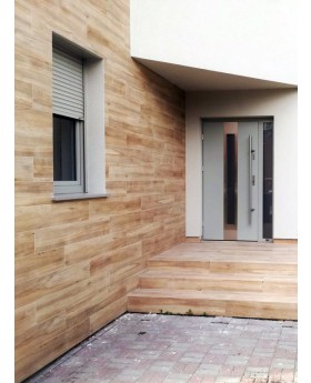 Fargo 30 - contemporary front door