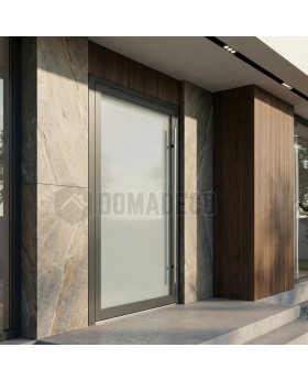 Anthracite fully frosted glazed front aluminum door