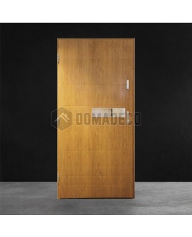 Golden oak  modern simple steel front door