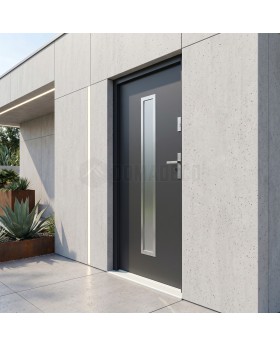 Anthracite beautiful steel front door