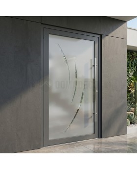 Anthracite aluminum front door milk with transparent decor