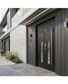 Black modern aluminum front door with glass