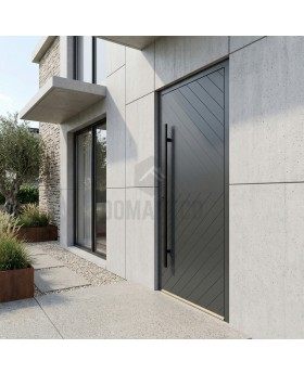 Anthracite prehung aluminum exterior door 